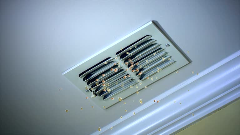 Home Air Vent Cleaning in Meadowbrook, VA