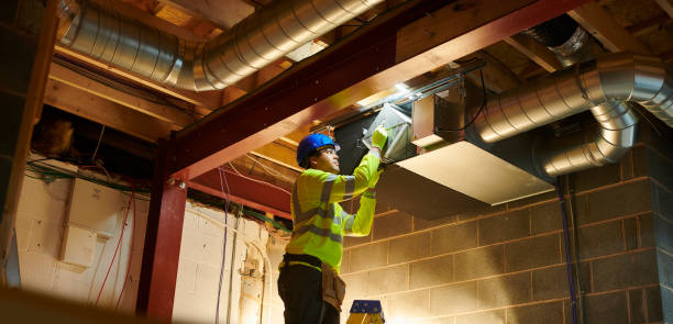 Best Air Duct Sanitizing Services  in Meadowbrook, VA
